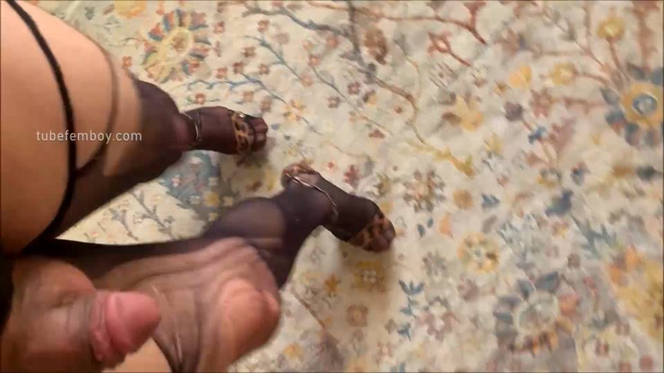 I Have the Smallest Dick in the World